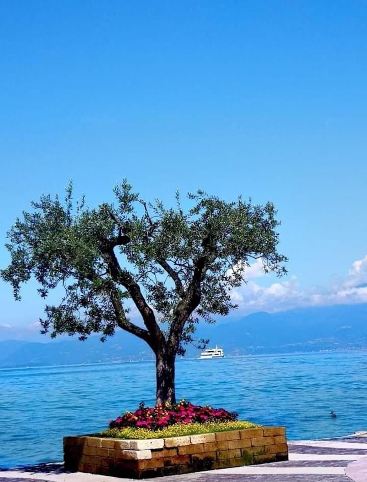 Mahatma Residence Lake View Lazise Pokój zdjęcie